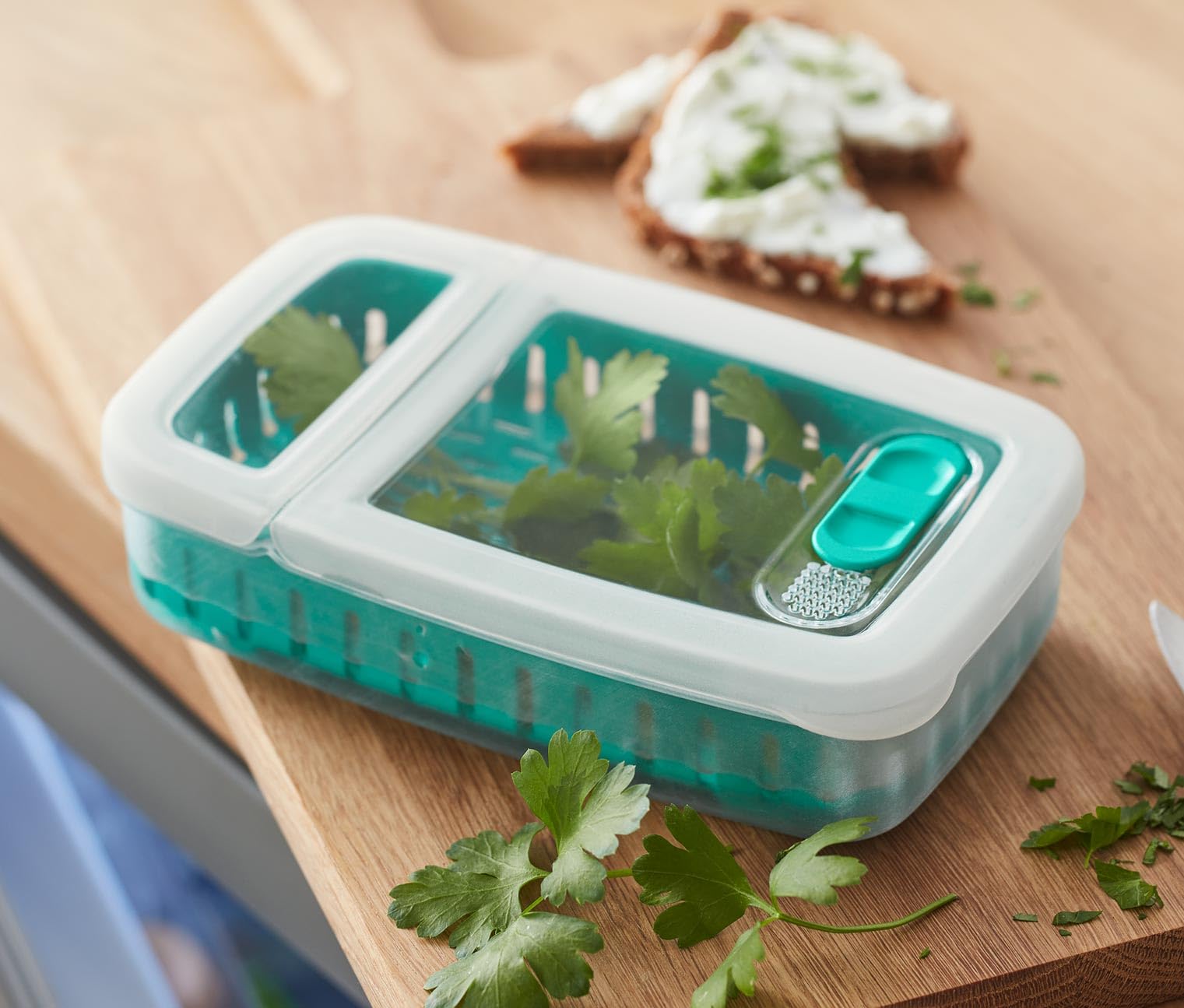 Tchibo Taze Tutan Yeşillik Kutusu : Amazon.com.tr: Mutfak